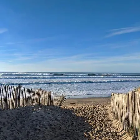 Maison En Bois 6 Pers - Plage&foret Montalivet Vensac-ocean