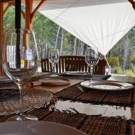 Maison En Bois 6 Pers - Plage&foret Montalivet Vensac-ocean Holiday home *